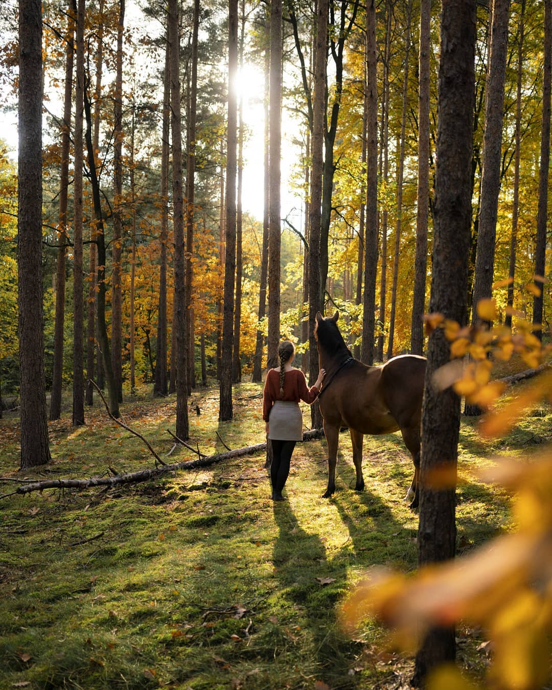 Autumn Magic with Bibs and Mono 🍂🌤️❤️

#autumnforest #horse #photography #horsephotography #colors #orange #berlin #sunflare #autumnmood #a7rii #vsco #picoftheday